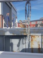 Interessierte Zuschauer.