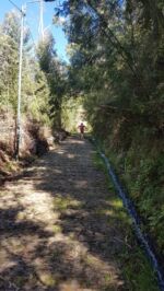 Auf dem Caminho Antigo do Terreiro da Luta.