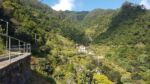 Levadas und Terrassenfeldbau. Madeiras Landwirtschaft.