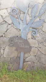 Weingut Vega Volcan.