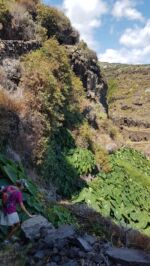 Abstieg in die Barranco de San Juan