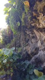 Abstieg in die Barranco de San Juan