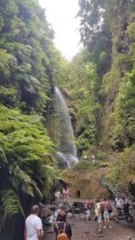Schön, aber leider auch ein beliebtes Ausflugsziel: Wasserfälle von Los Tilos.