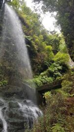 Schön, aber leider auch ein beliebtes Ausflugsziel: Wasserfälle von Los Tilos.