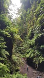 Der Barranco del agua.