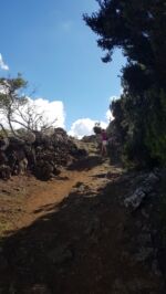 Unterwegs auf El Hierros Wanderwegen.