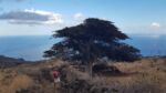 Unterwegs auf El Hierros Wanderwegen.