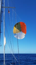 Segeln vor dem Wind mit einem Rundsegel.