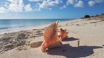 11-Mile-Beach, Low Bay, Barbuda
