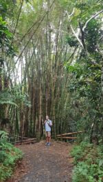 Auf dem Angelito Trail