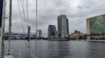 Jacksonville Downtown, vor der Main Street Bridge.